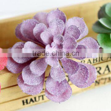 Wholesale Artificial Succulent Plants Mini Succulent Plants Succulent Plants Tropical Plants photo-3