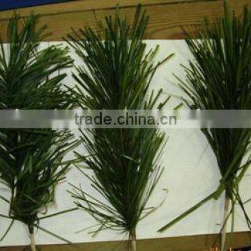 PVC Christmas Tree Leaves