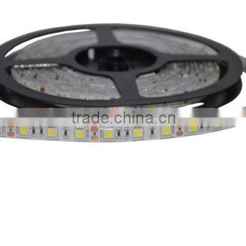 800LM Per Meter Magic Strip Diomond Brightness Led Strip Rgb