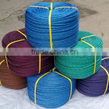 POLYPROPYLENE DANLINE ROPE FOR MARINE ROPE photo-6