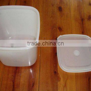 high quality rectangle tableware mould/taizhou huangyan mould factory