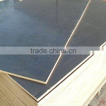 Black film faced plywood with competitive price