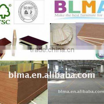 HOT SALE 1220*2440 Film Faced Plywood