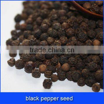 black pepper seed