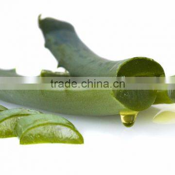100% pure aloe oil oil aloe vera