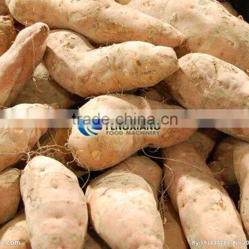 Commercial Turnip Fruit Vegetable Washing and Peeling Potato Ginger Washer and Peeler Machine photo-4