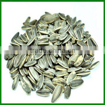 Best quality Spiced 5009 Sunflower Seeds For Human Eating