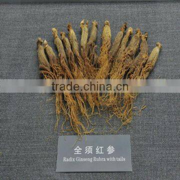 Red Ginseng photo-2