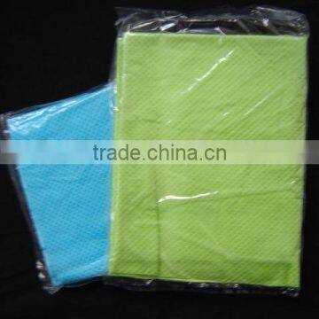 PVA Chamois with Mesh Cloth