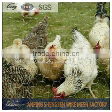 China Supplier Decorative chicken wire fencing