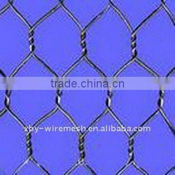 bird cage wire mesh