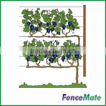 Hot Sale Vineyard Trellis photo-2