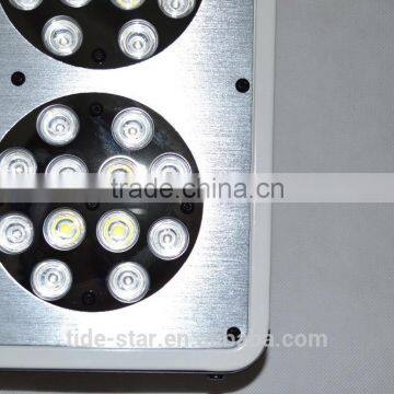 Hiah Quality Apollo Led Grow Lights Hydroponic photo-6