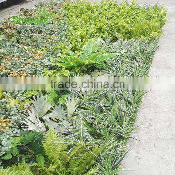SJLJ013766 China Supplier Direct Selling Artificial Vertical Green Wall With Artificial Plant photo-5