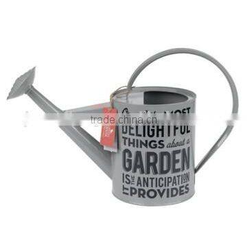 High Quality OEM Color Watering Can photo-4