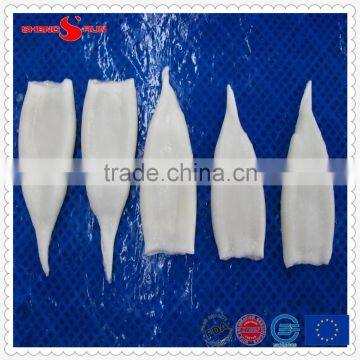 Frozen IQF Pacific Squid Tube u5 photo-4
