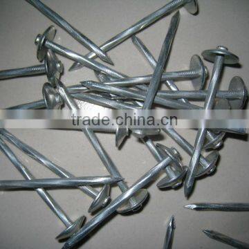 Galvanized Roofing Nail