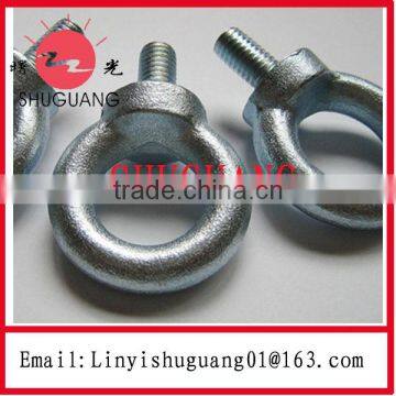 Electric Galvanized Din580 Eye Bolt