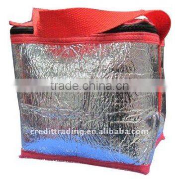 CT-CL025 aluminum foil cooler bag for outdoor