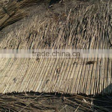 Water Reed Thatching Roof photo-4