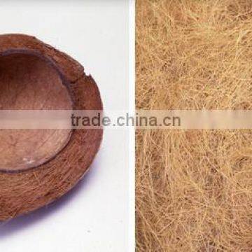 Popular Good Selling High Quality Comfortable Healthy Natural Rubberized Coir Mattress photo-4