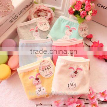 Cute Rabbit Cartoon Cotton Underwear Girl Panties photo-3