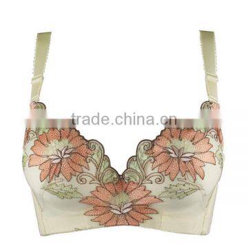 3/4 Cup Nylon Push-up Bra Bra Factory in China photo-3