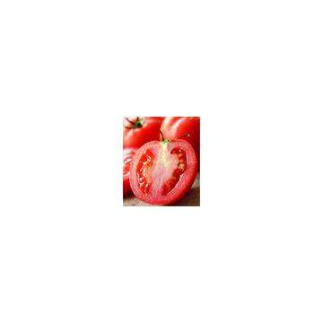 SUPPLY Tomato Seed Oil