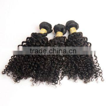 2017 Hot Sell African Curl Hair Weft for Black Women photo-2