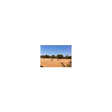 Sea Sand for Land and Island Reclamation photo-3