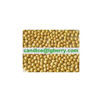 Isolate Soya Protein(NON-GMO Soybean)
