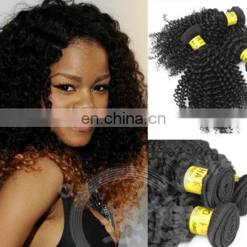 high quality 100% human hair kinky kurly brazilian hair