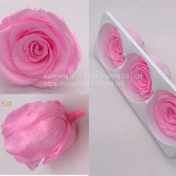 Preserved Rose Heads Look Like Artificial Flowers? It′s 100% Real!40 Colors 6-7cm Preserved Fresh Flower for Hotel Decoration photo-2