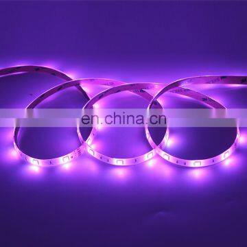 Wholesales Led Flexible Lights Four in One Dimming RGBW Strips photo-4