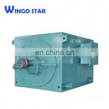 Wingo Star High Voltage y Series Three Phase Powerful Electric Motor 6kv