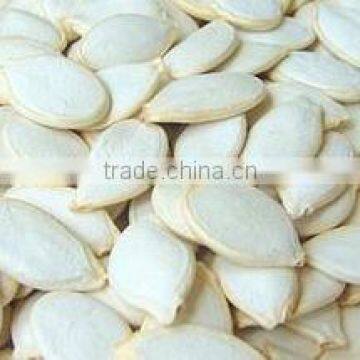 Roasted and Salted Pumpkin Seeds for sale