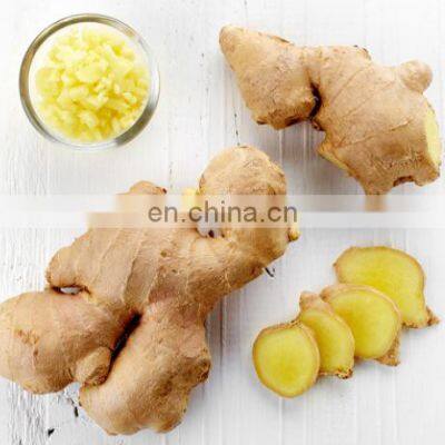 China good quality ginger frozen one on sale