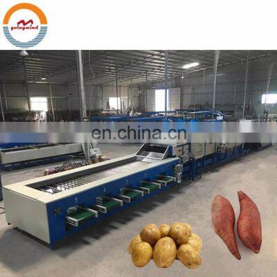 Automatic sweet potatoes washing drying and grading machine auto potato dry cleaning, sorting packing line cheap price for sale