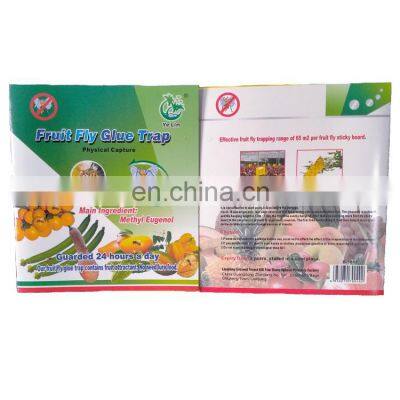 2021 New English Sticky Board Insect Fly Trap Sticky Trap for Insects OEM Customization is Available