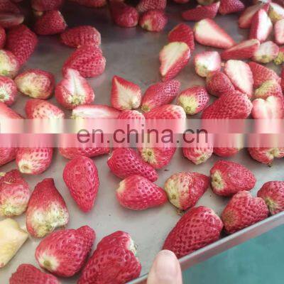 Intelligent Vacuum Freeze Dryer photo-4