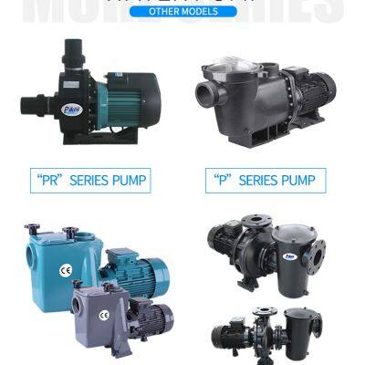 High Insulation Class Reliable Swimming Power Efficiency Pump PKIES PB Series Water Pump photo-6
