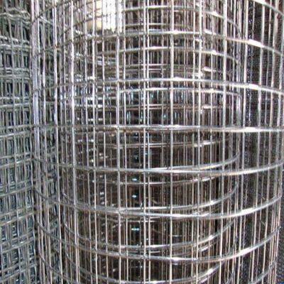 Galvanized+PVC Coated Welded Wire Mesh Rolls - Square Hole Design