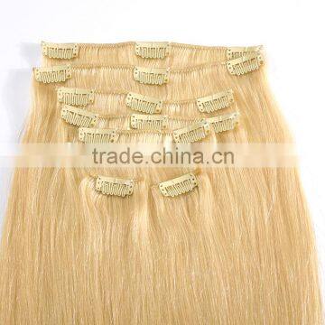 Cheaper Remy Human Hair Clip In Hair Extensin, Stocks High Quality Clip In Hair Extension photo-4