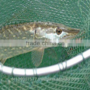 250M 0.06mm ULTRA THIN PE 4 Braided Fishing Line 100% Made in Germany Smooth Strong Round Mega-4-braid photo-5