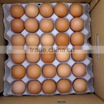 Fresh Brown Chicken Eggs for sale at cheap price