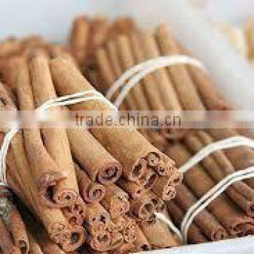 CINNAMON WITH SPECIAL PRICE AND HIGH QUALITY