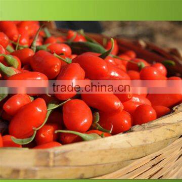 whole foods goji berry wholesaler