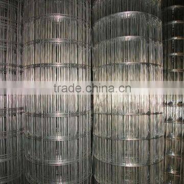 China manufacturer Galvanized/PVC Coated welded wire mesh