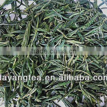 China Green Tea for Organic Tea