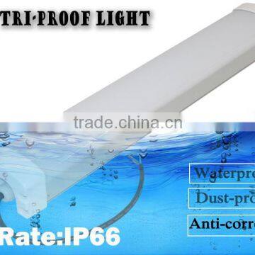 High Quality Shenzhen Factory Emergency Led Tri Proof Lamp